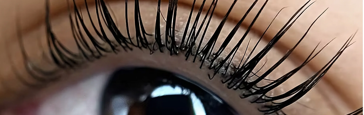 Lashlifting Schulung